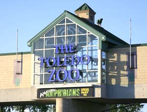 Toledo Zoo Animals