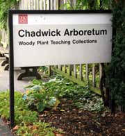 Chadwick Arboretum