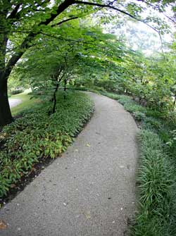 Chadwick Arboretum