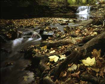 Upper Hayden Falls