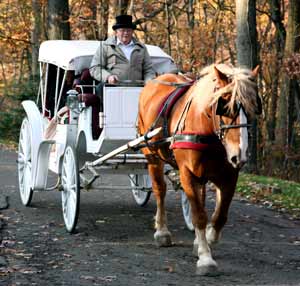 Landoll's Carriage Ride