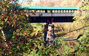 Covered Bridge