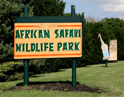 African Safari Wildlife Tour