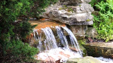 Schedel Arboretum Water Feature