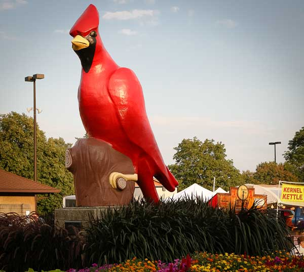 Ohio State Fair Cardinal